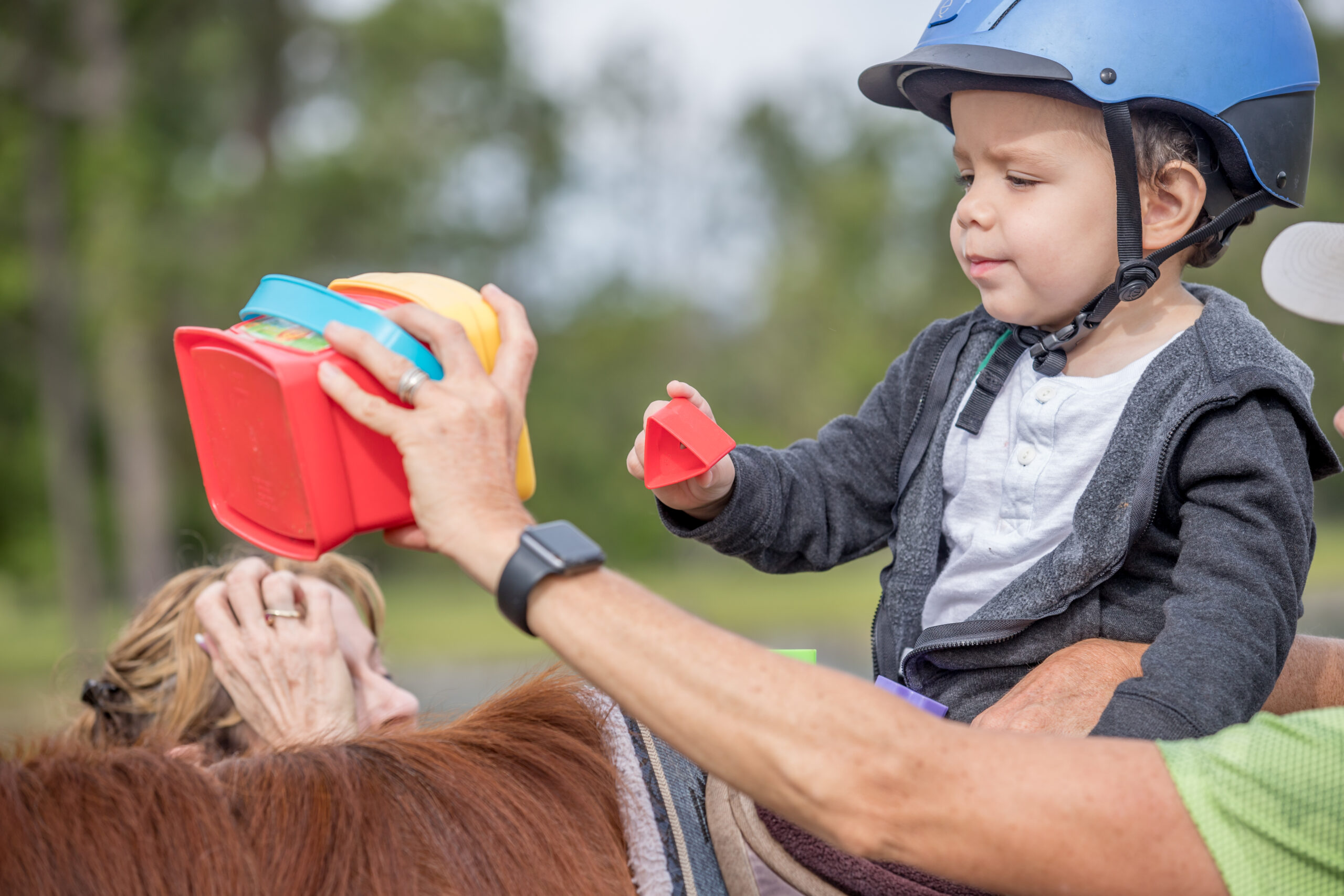 Horse_Play_Therapy_2-3660-1